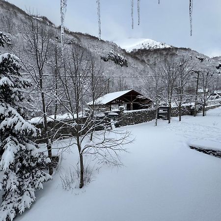 Biocinovici Vikendica Villa Kolasin Bagian luar foto