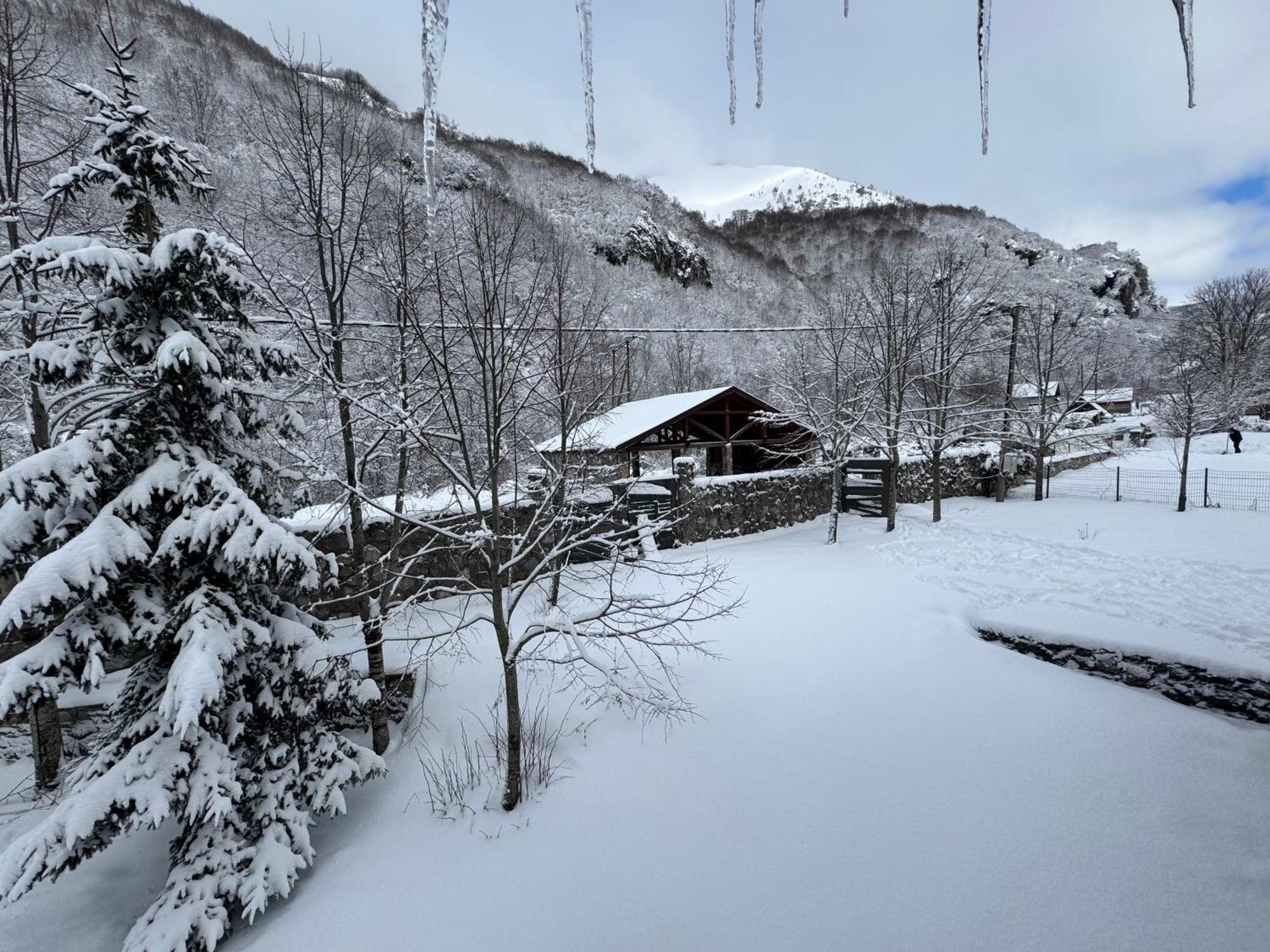 Biocinovici Vikendica Villa Kolasin Bagian luar foto